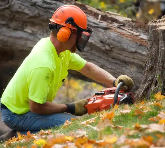 tree services Norton